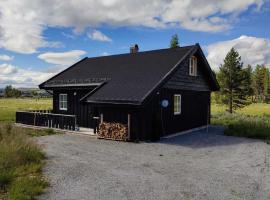 Bjørkefinken by Norgesbooking - cabin for hiking and skiing，位于Sanderstølen的酒店