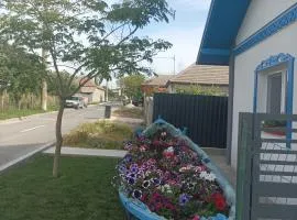 Studio Casa Katiușa