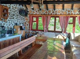 Villa Mollovi，位于Chepintsi的酒店