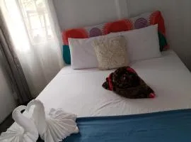 Casa Nimbu Rainforest