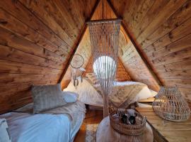 Cabane Indiana - SPA du Souffle du Saule，位于Buhl-Lorraine的酒店