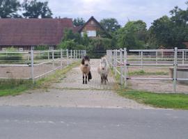 Traumurlaub auf dem Gestüt，位于Rethem的酒店