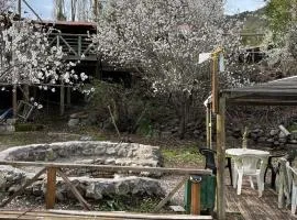 Cabaña Nido de Almas