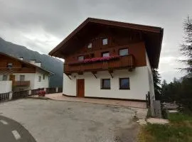 Waldboden