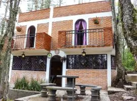 Finca de los Leones - Cabaña Primavera