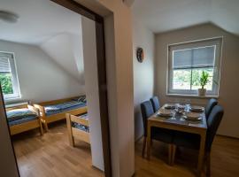 Apartmány Hasičárna，位于Horní Vltavice的酒店