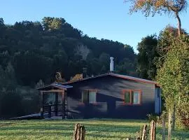 Cabaña VerdeNativo-Puerto Octay