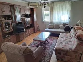 Apartman u centru Leskovca