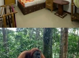 Brown Bamboo Guest house & trekking bukit Lawang，位于武吉拉旺的酒店