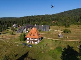 Apartmani ZELENI MEDA，位于米特洛瓦克的酒店