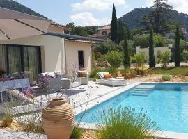 Villa moderne avec jacuzzi, piscine et vue