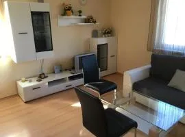 Ferienhaus Bolliger Apartment 2