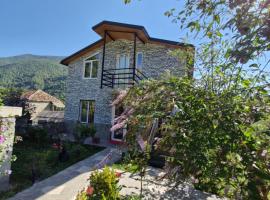 Ananuri veranda- hotel guest house，位于Ananuri的酒店