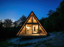 A-frame Forest Nest，位于戈雷尼斯卡地区采尔克列的酒店