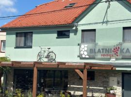 Penzion Blatnička，位于Blatnička的酒店