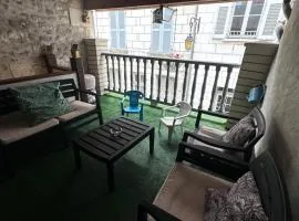 Gite Le Nid des Zoo Zio, 5mn Beauval, appartement terrasse centre-ville