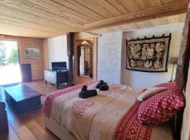 Appartement Atypique Saxel