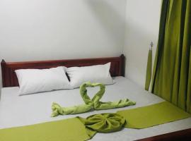 CB Hotel Badulla，位于巴杜勒的酒店