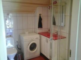 Lake Shore Apartament，位于Lelle的酒店