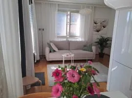 Bright apartment, airport 3km, private parking, sauna