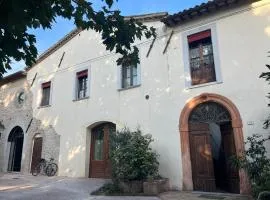 San Pietro Fuori le Mura B&B