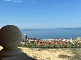 Green Plaza Трехкомнатная