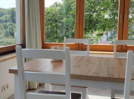 Ferienwohnung Familie Haas，位于格斯韦因斯泰因的酒店