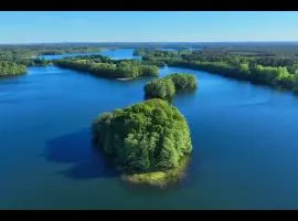 Domki na skraju lasu