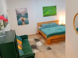 Apartments Romantic and Family Room Zemlinski 9,10, 11