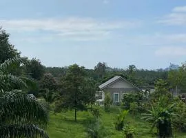 Green Tree Cottage5