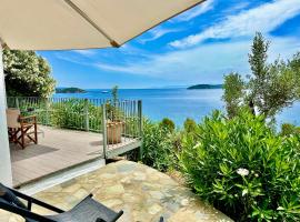 Villa Athena Skiathos，位于梅加利阿莫斯的酒店