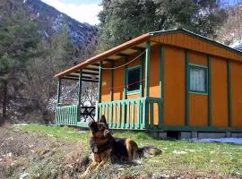 chalet-bungalow ombragé