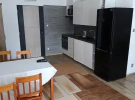 Apartament Przylesie