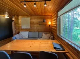 Logcabin, sauna, fireplace, view, kitchen
