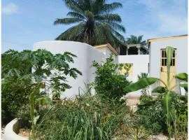 Senegambia Birding Lodge - Full board - Bird Photohide