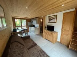 Chalet Aravis