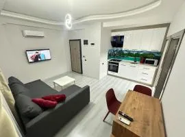 Denize yakın konforlu daire