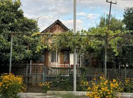 cottage in Chakvi，位于查克维的酒店