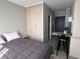 Departamento Estudio, Pitrufquén，位于Pitrufquén的酒店