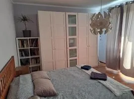 Comfortable Apartment close to Spodek