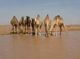 Apadi camp