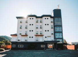 Andardac Hotel，位于Guaramirim的酒店
