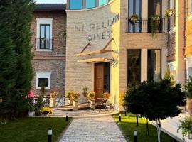 Nurellari Winery Cellar and Guest House，位于培拉特的酒店