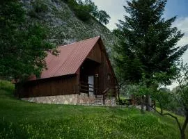 Detached house Milivoje