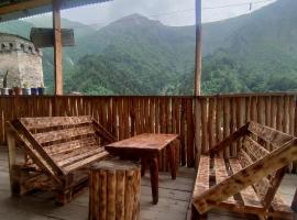 guest house "BETQIL" adishi，位于Adishi的酒店