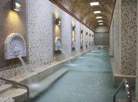 芭雅瑞斯温泉康体公园酒店，位于阿拉贡省阿拉马的酒店