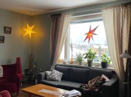 Cozy, stylish apartment in the heart of the town，位于里希迈基的酒店