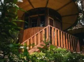 Eco Conservation Landak Luxury Tents