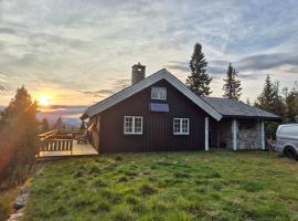 Cozy log cabin at beautiful Nystølsfjellet，位于高尔的酒店