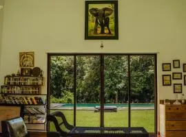 Rivendell Twisted Tree